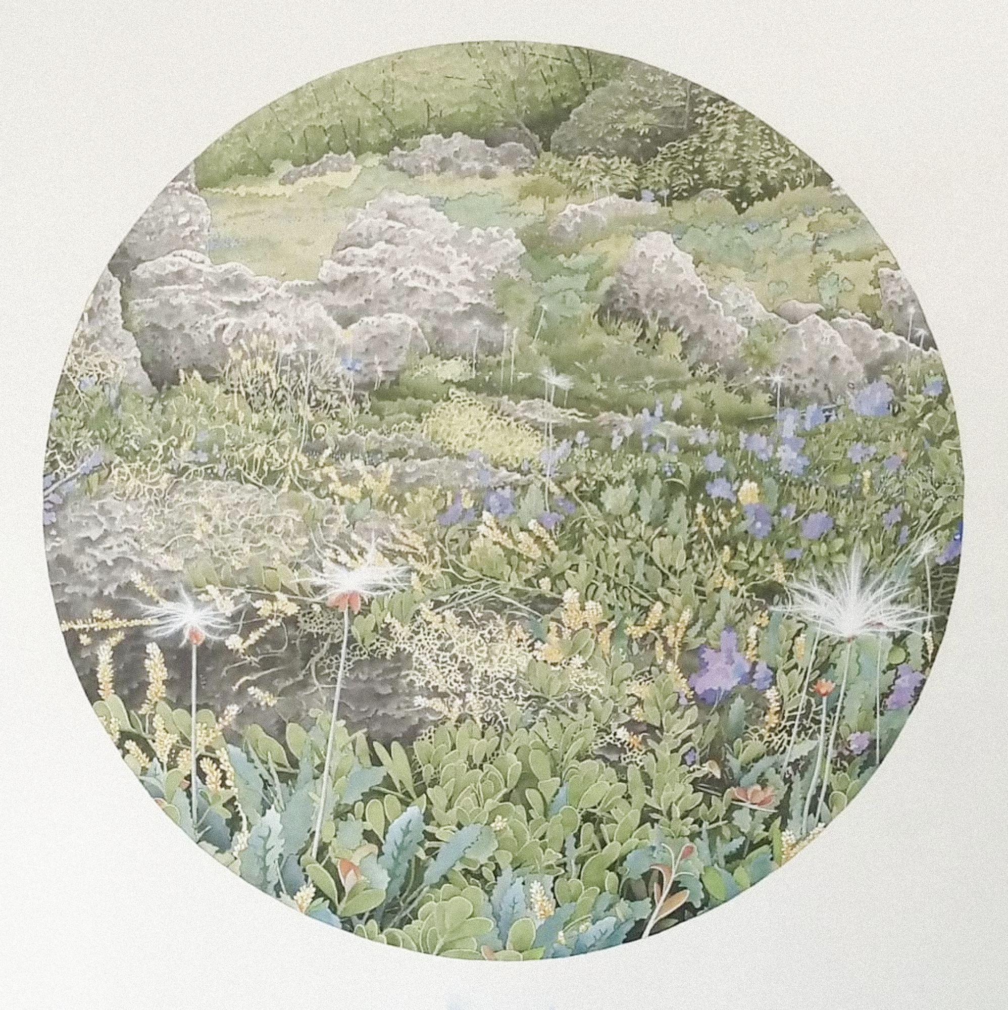 Vegetation I